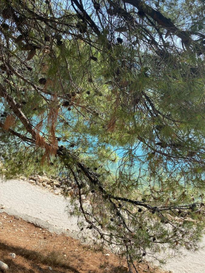 Villa Lovric Marina Dış mekan fotoğraf